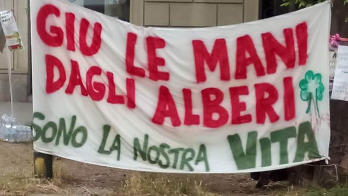 Aceri di Corso Belgio, il Giudice boccia il progetto del Comune: “L’abbattimento integrale dell’alberata lede il diritto alla salute”