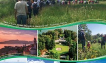 A Chieri il 27 giugno il circuito “sentiero verde 2024” propone la camminata “vino e calici celesti”