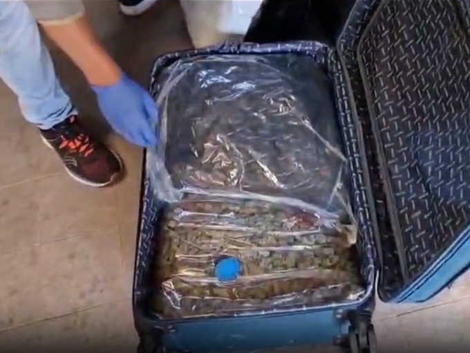 Dalla Spagna in autobus con oltre 12 chili di marijuana in valigia, arrestata