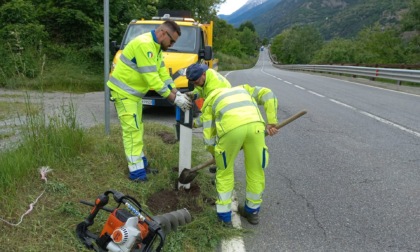 Prevenzione incidenti: catarifrangenti blu per dissuadere gli animali selvatici dall'attraversare le strade