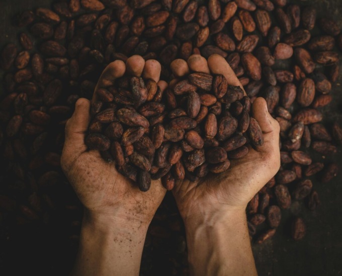 Nei sotterranei di una delle pasticcerie più rinomate di Torino, un museo dedicato al cioccolato