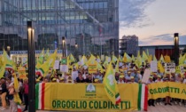 "Basta cinghiali": agricoltori esasperati davanti alla Regione