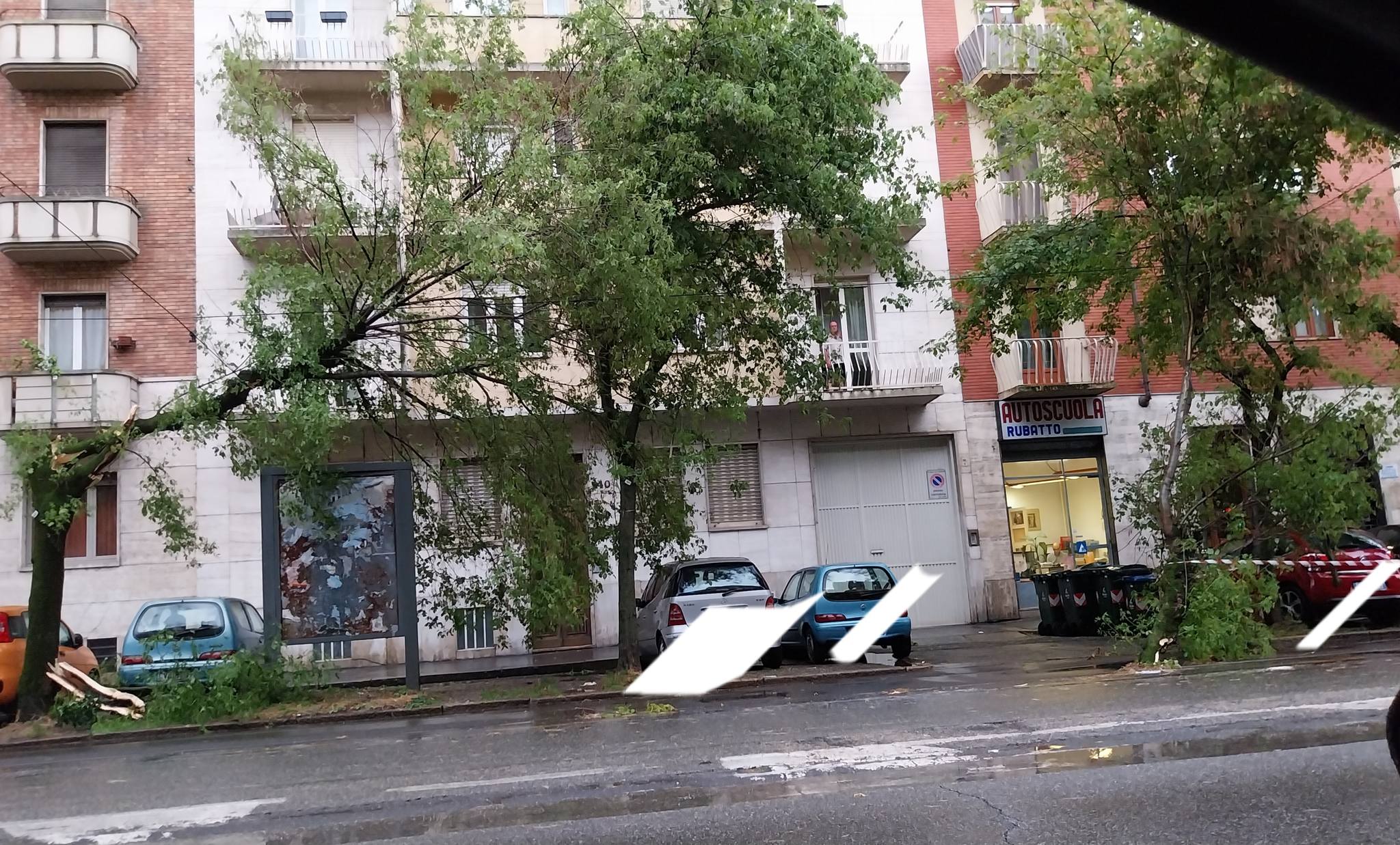 Un albero spezzato in corso Belgio a Torino