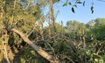 Maltempo, ancora danni in molte zone del Torinese