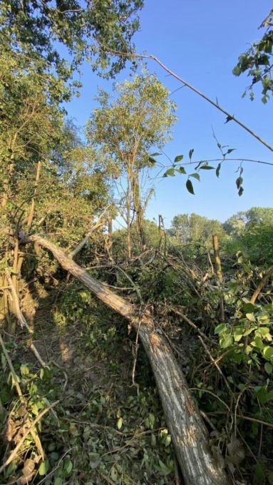 Maltempo, ancora danni in molte zone del Torinese