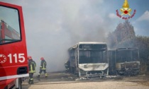 A fuoco due bus e una baracca ad Alpignano