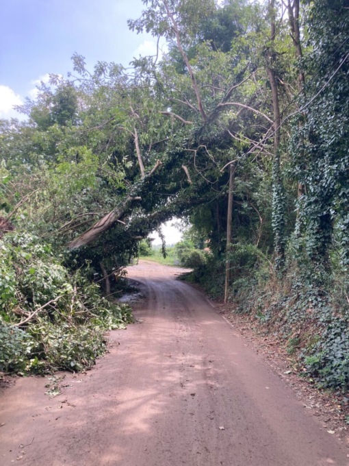 Controsoffitto caduto dopo la pioggia in un asilo a Nichelino. Danni all’agricoltura a Trofarello