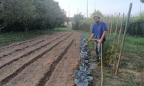 "Il Piccolo Frutteto", la nuova azienda agricola nata in via Colombetto a Nichelino