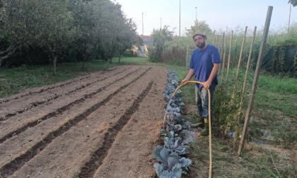 "Il Piccolo Frutteto", la nuova azienda agricola nata in via Colombetto a Nichelino