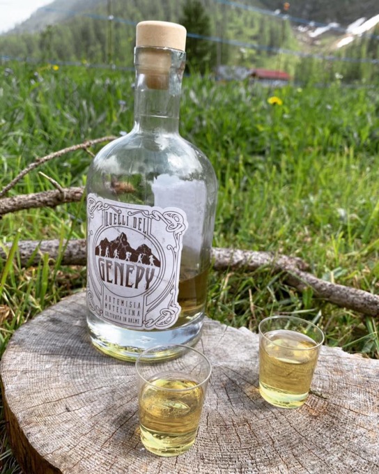 A Susa la prima edizione del “Genepy Day”, un evento completamente dedicato al liquore delle Alpi