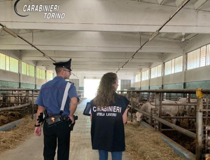 Lavoro nero e sicurezza: sanzionate sei attività commerciali a Torino e provincia