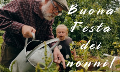 Festa dei nonni 2024: frasi di auguri e immagini gratis da inviare con WhatsApp