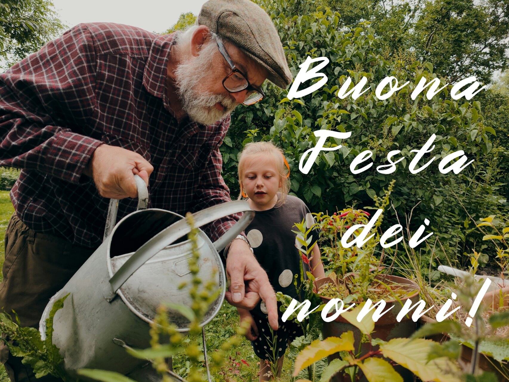 Festa dei nonni 2024 frasi di auguri e immagini gratis da inviare con