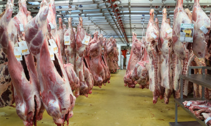 Controlli alla frontiera con la Francia: nel tir tra le mezzene di carne anche 77 kg di cocaina