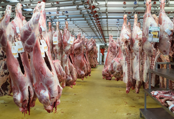 Controlli alla frontiera con la Francia: nel tir tra le mezzene di carne anche 77 kg di cocaina
