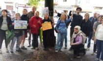 Comitato Salviamo gli Alberi Corso Belgio: "Aiutateci a pagare le spese legali. Abbiamo evitato i tagli e il danno alla salute di tutti"