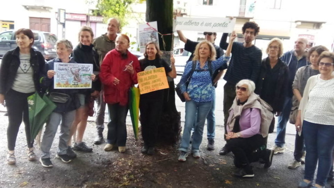 Comitato Salviamo gli Alberi Corso Belgio: “Aiutateci a pagare le spese legali. Abbiamo evitato i tagli e il danno alla salute di tutti”