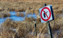 Stop alla caccia in Piemonte (ma solo per quattro specie), accolto il ricorso degli animalisti