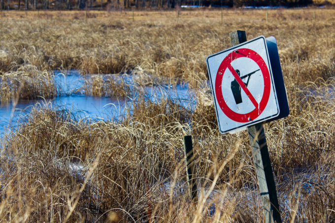 Stop alla caccia in Piemonte (ma solo per quattro specie), accolto il ricorso degli animalisti