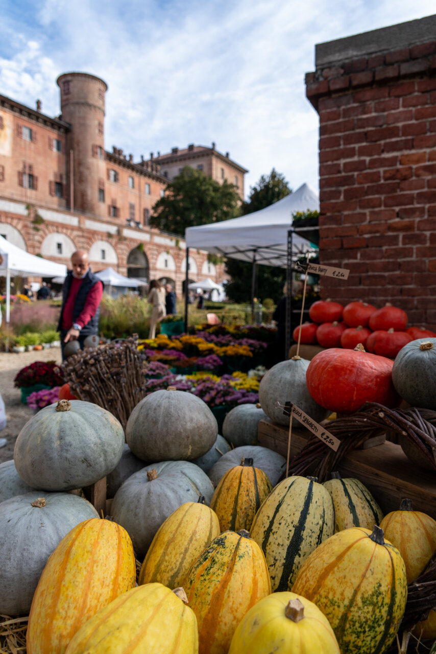 Fiorile_Moncalieri_autunno_repertorio_6