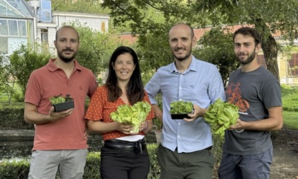 Citizen Salad - Chi vive sulle foglie di insalata? L'esperimento di citizen science di UniTo