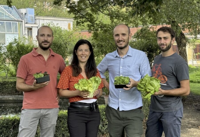 Citizen Salad – Chi vive sulle foglie di insalata? L’esperimento di citizen science di UniTo