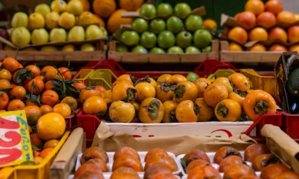 Coldiretti Torino: "Export agroalimentare torinese in crisi, acceleriamo la riapertura del traforo del Monte Bianco e del Frejus"