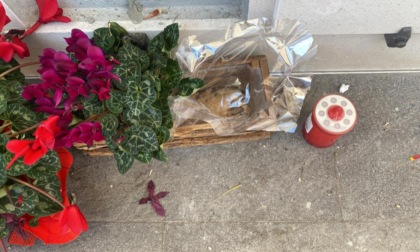 Il cimitero di Nichelino preso (nuovamente) di mira dai vandali e dai ladri