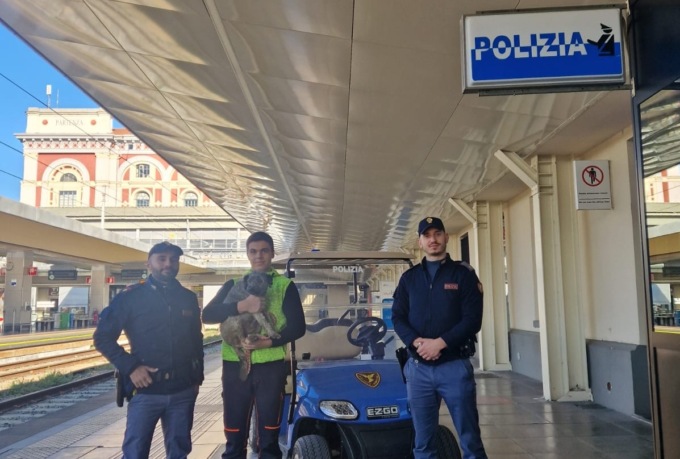 Cagnolino perso tra i binari di Porta Nuova salvato dalla Polfer