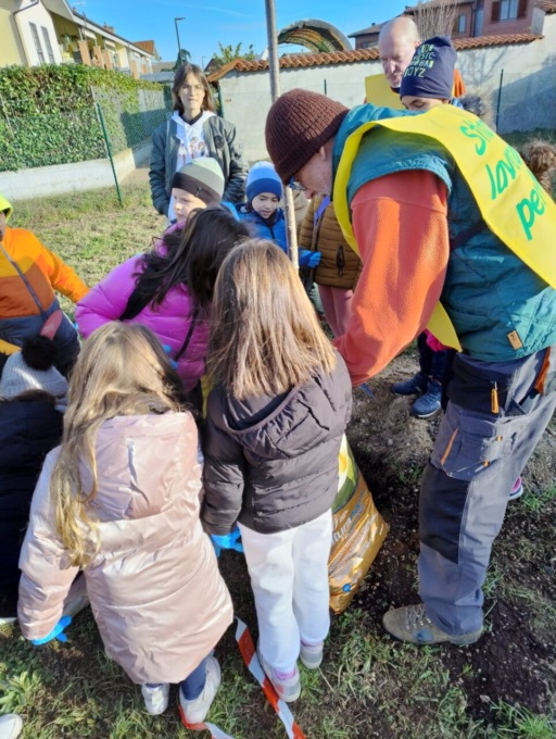 Piantumati nuovi alberi a Moncalieri, Arisio di Legambiente: “Serviranno per ridurre le isole di calore e l’inquinamento”