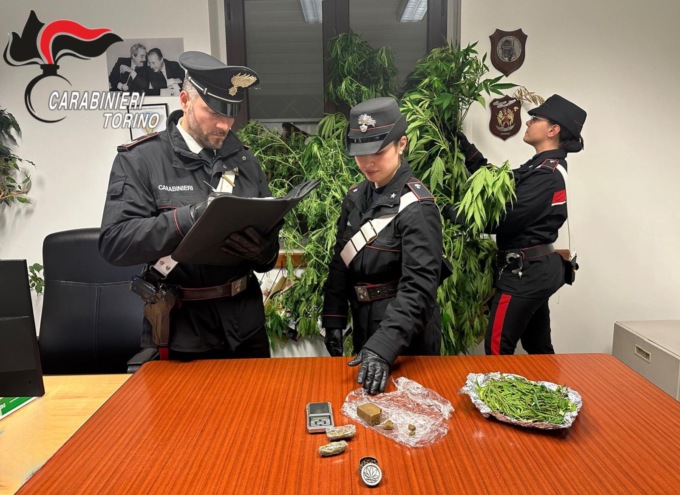 Coltivava marijuana gigante in giardino: denunciato un 38enne a Cintano