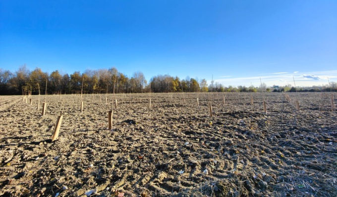 Riparte la riforestazione del Bosco del Gerbasso a Carmagnola