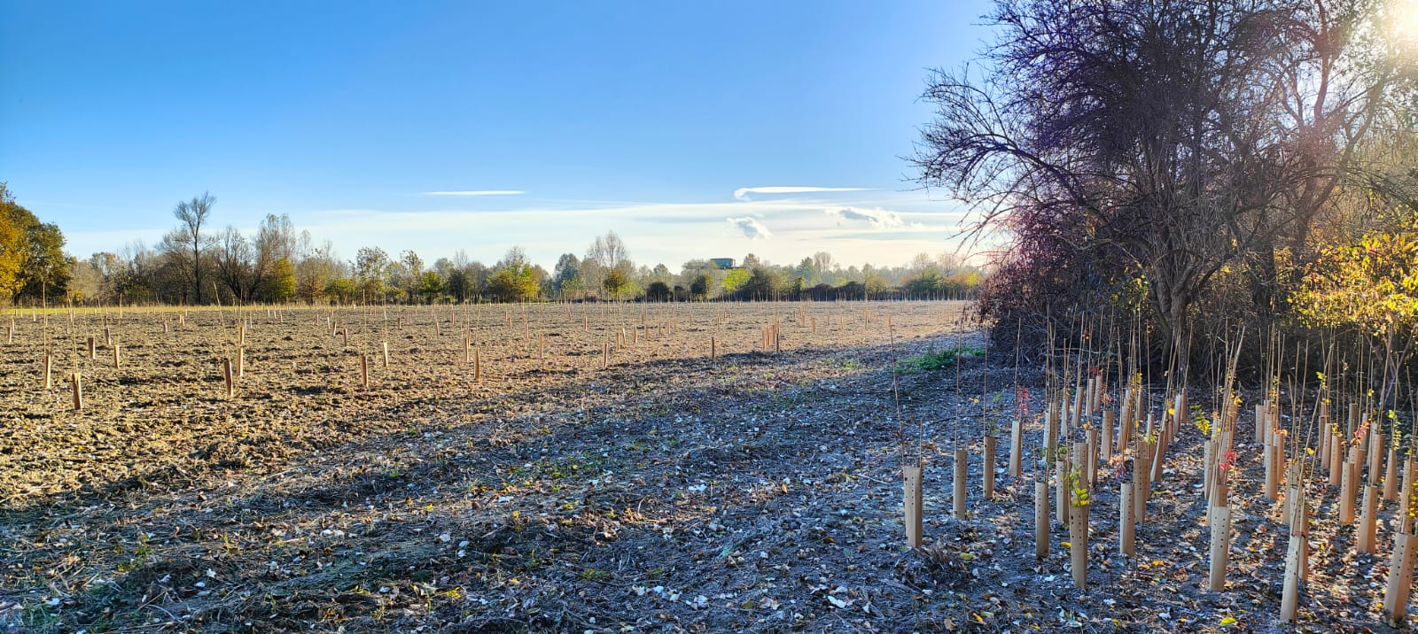 L'area oggetto di nuove piantumazioni