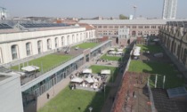 Nasce “Campus Grapes”, la vigna urbana all’interno di un polo universitario targata Politecnico di Torino e Citiculture