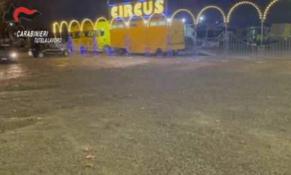 Incidente in un circo scoperchia un sistema di capolarato: il titolare arrestato a Torino