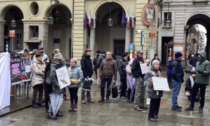 Presidio del Comitato Salviamo il Meisino davanti al Comune di Torino: "No al progetto della Cittadella dello Sport"