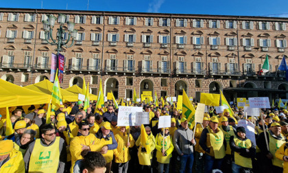 Cambiamento climatico, Coldiretti sotto la Prefettura di Torino per chiedere lo sblocco degli aiuti alle imprese agricole