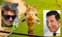 Tra leoni e giraffe al bio parco Zoom di Cumiana anche il boss (in incognito) e Max Giusti, stasera su Rai2