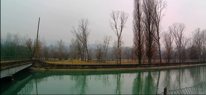 Isolone-Parco Meisino, residenti e attivisti: “Il bosco al centro del fiume non esiste quasi più”