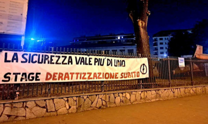 Derattizzazioni non efficaci all'Istituto tecnico Grassi, gli studenti: "La sicurezza vale più di uno stage"