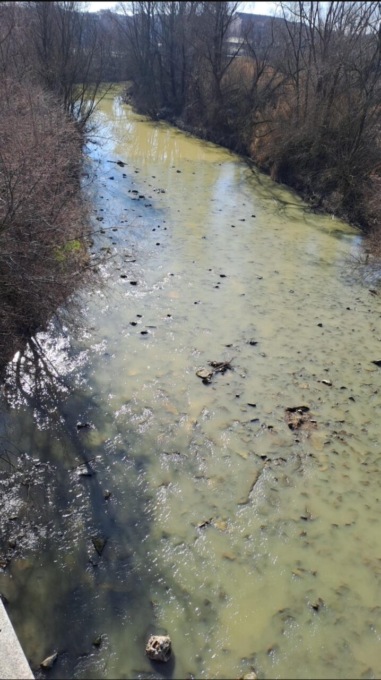 Nichelino: chiazze giallastre nel torrente Sangone, cittadini preoccupati