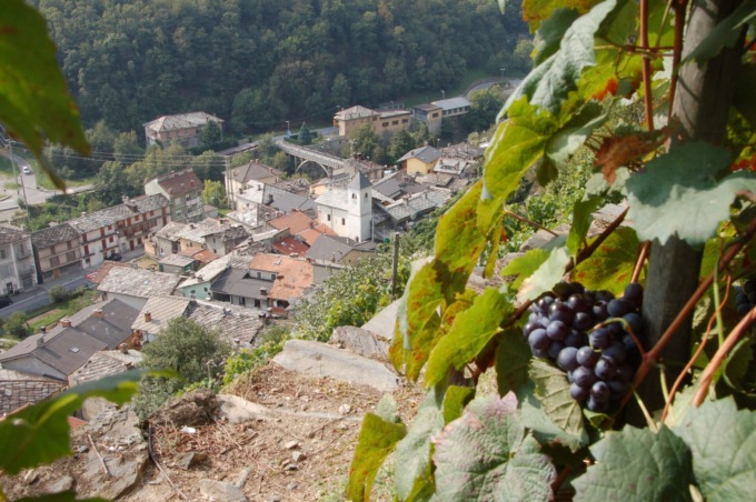 Conservare e valorizzare i paesaggi viticoli alpini: uno studio del Politecnico promosso dalla Città Metropolitana