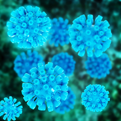 Riparte la campagna di screening gratuito per l’epatite C – virus HCV