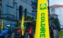 Coldiretti Torino a Parma per un’Europa vicina all’agricoltura e ai consumatori