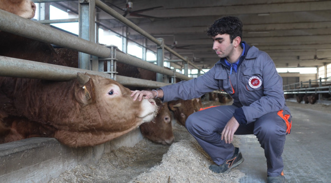 Coldiretti Torino: “Il calo delle aziende agricole riguarda tutti”