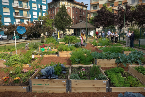 Rivoli: la Consulta per l’Agricoltura al lavoro sugli orti urbani condivisi