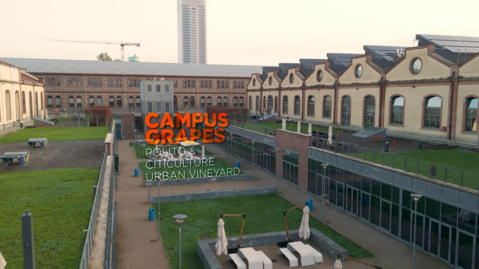 Una vigna urbana a Torino all’interno del Politecnico: nasce Campus Grapes