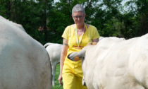 I dati di Coldiretti: l’agricoltura torinese è innovativa soprattutto grazie alle donne