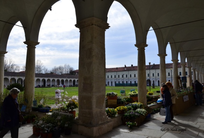 Nel chiostro della Certosa Reale di Collegno torna “Follia in Fiore”