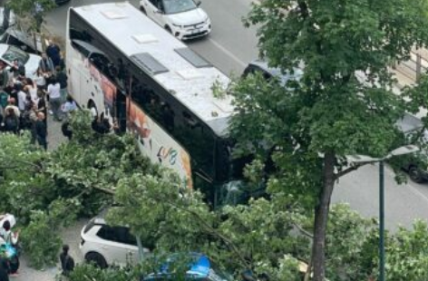 Bus contro due alberi tra corso San Maurizio e via Montebello a Torino
